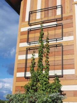 Exeter Wall Trellis 9 Exeter Wall Trellis -Garden Outfitters Store 8600049 7121 tif