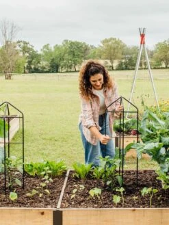 Zenith Folding Garden Supports, Set Of 2 15 Zenith Folding Garden Supports, Set Of 2 -Garden Outfitters Store 8600073 324 tif