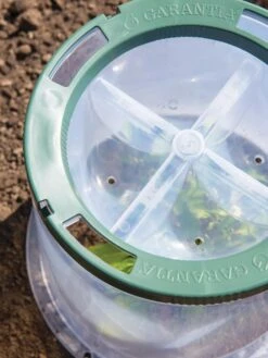 Sunny Forcing Cloches, Set Of 3 9 Sunny Forcing Cloches, Set Of 3 -Garden Outfitters Store 8600075 0742 tif