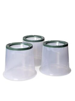 Sunny Forcing Cloches, Set Of 3 8 Sunny Forcing Cloches, Set Of 3 -Garden Outfitters Store 8600075 24 tif