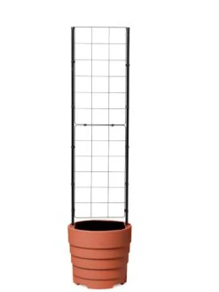 Gardener’s Victory Self-Watering Planter With Vine Trellis 17 Gardener’s Victory Self-Watering Planter With Vine Trellis -Garden Outfitters Store 8600178 7000 tif