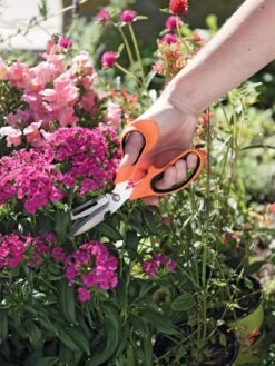 Gardener's Multi Purpose Scissors -Garden Outfitters Store 8608655 19551 tif