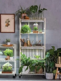 Oslo 4-Tier LED Grow Light Garden -Garden Outfitters Store 8609188 4118 tif