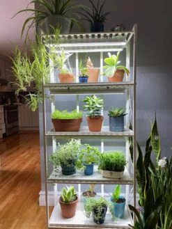 Oslo 4-Tier LED Grow Light Garden -Garden Outfitters Store 8609220 03IN tif