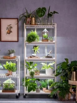 Oslo 4-Tier LED Grow Light Garden -Garden Outfitters Store 8609220 4116 tif