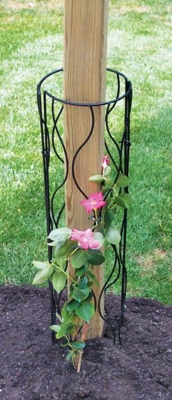 Bosmere Trellis For Mailbox Or Lamp Post