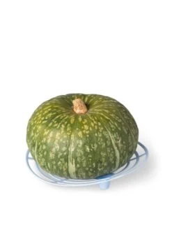 Melon And Squash Cradles, Set Of 6 6 Melon And Squash Cradles, Set Of 6 -Garden Outfitters Store 8609464 5204 tif
