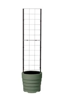 Gardener’s Victory Self-Watering Planter With Vine Trellis 14 Gardener’s Victory Self-Watering Planter With Vine Trellis -Garden Outfitters Store 8610238 07000 tif