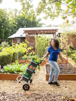 Mod Hod Trolley With Teal Mod Hods -Garden Outfitters Store 8610240 0070 tif