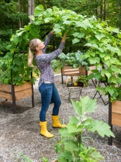 2’ X 8’ Arch Trellis For Planter Boxes -Garden Outfitters Store 8610798 050 tif