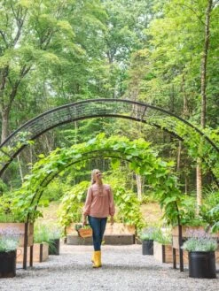 2’ X 8’ Arch Trellis For Planter Boxes -Garden Outfitters Store 8610798 071 tif