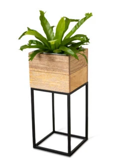 Tartu Elevated Square Planters 18 Tartu Elevated Square Planters -Garden Outfitters Store 8611005 036