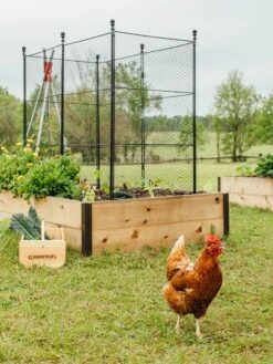 Tall Chicken Wire Critter Fence With Gate 17 Tall Chicken Wire Critter Fence With Gate -Garden Outfitters Store 8611020 316 tif