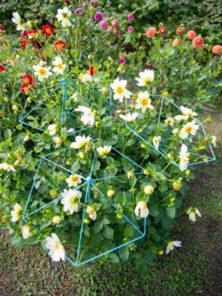 New Products -Garden Outfitters Store 8611129 004 tif