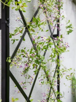 Lattice Gable Wall Trellis 6 Lattice Gable Wall Trellis -Garden Outfitters Store 8611130 011