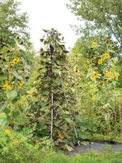 DIY Connector For Teepee Trellis -Garden Outfitters Store 8611896 062 tif