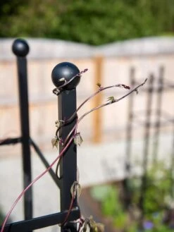 Essex Square Obelisk -Garden Outfitters Store 8611984 278 tif