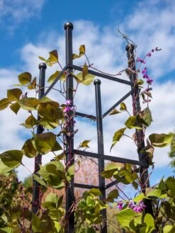 Essex Square Obelisk -Garden Outfitters Store 8611984 354 tif