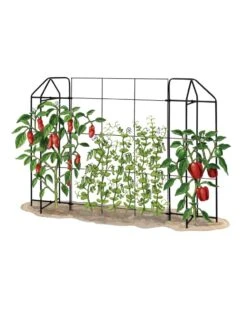 Zenith Trellis 6 Zenith Trellis -Garden Outfitters Store 8612035 art tif