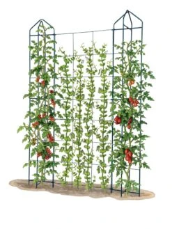 Zenith Trellis 7 Zenith Trellis -Garden Outfitters Store 8612036 art tif
