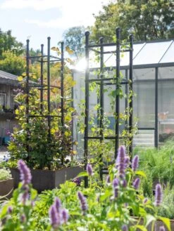 Garden Outfitters Store -Garden Outfitters Store 8612046 346 tif