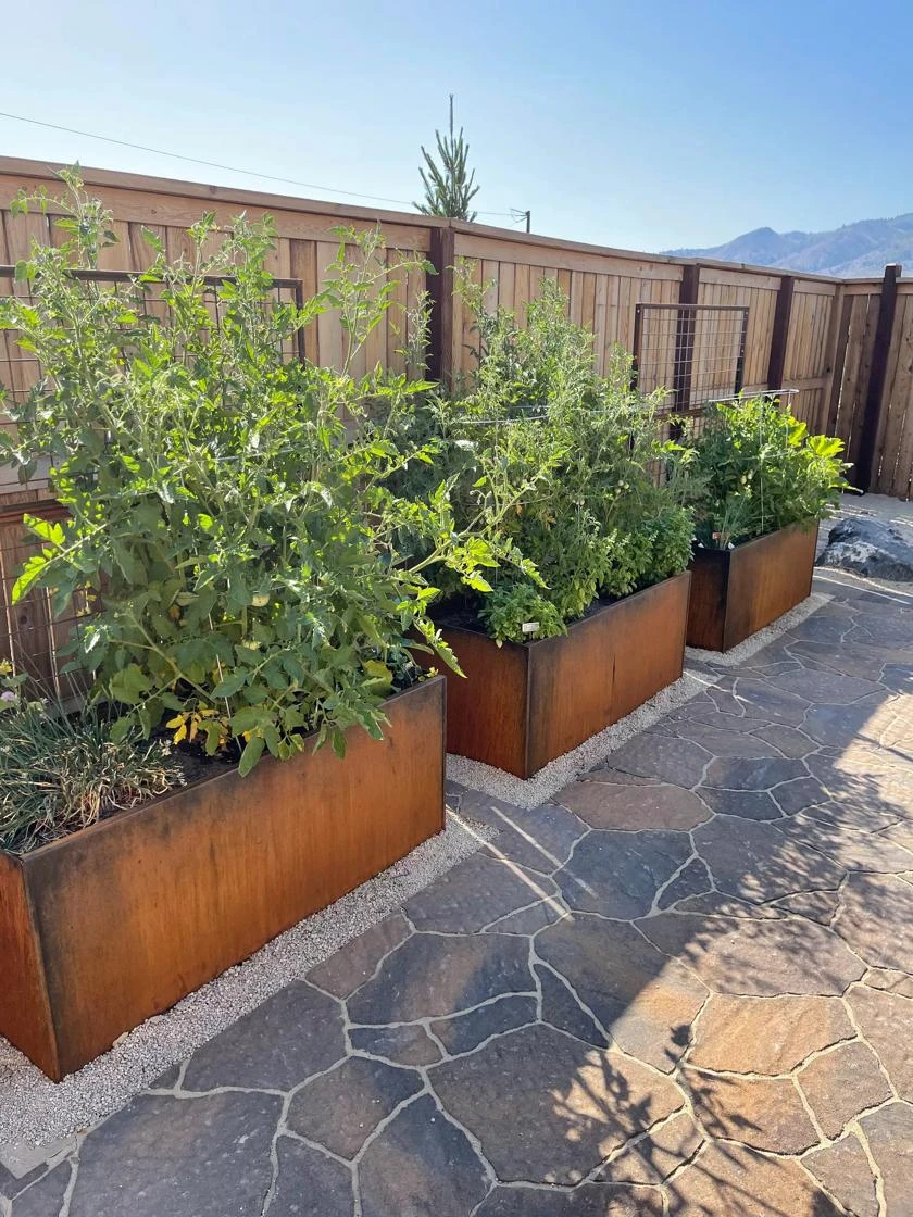 Nice Corten Trough Planters With Trellis 1 Nice Corten Trough Planters With Trellis