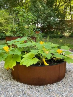 Birdies™ Corten Steel Round Raised Beds 9 Birdies™ Corten Steel Round Raised Beds -Garden Outfitters Store 8612422 0484 tif