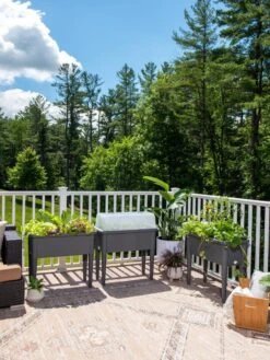 Self-Watering Standing Salad Planter With Cloche 11 Self-Watering Standing Salad Planter With Cloche -Garden Outfitters Store 8612702 2002 tif