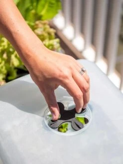 Self-Watering Standing Salad Planter With Cloche 9 Self-Watering Standing Salad Planter With Cloche -Garden Outfitters Store 8612702 2034 tif