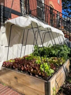 Zenith Garden Hoops, Set Of 4 13 Zenith Garden Hoops, Set Of 4 -Garden Outfitters Store 8612816 01CUST