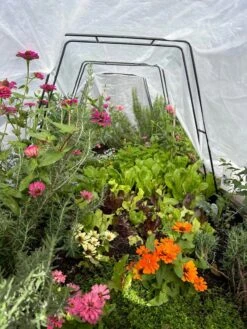 Zenith Garden Hoops, Set Of 4 12 Zenith Garden Hoops, Set Of 4 -Garden Outfitters Store 8612816 01TEST