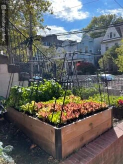 Zenith Garden Hoops, Set Of 4 14 Zenith Garden Hoops, Set Of 4 -Garden Outfitters Store 8612816 02CUST