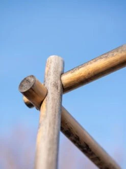 Tomato Six Pack Support 16 Tomato Six Pack Support -Garden Outfitters Store 8613143 0385 1