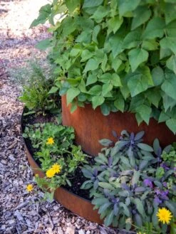 Birdies™ Corten Steel Tiered Round Raised Bed Kit, Tall -Garden Outfitters Store 8613245 0195