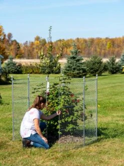 Tall Chicken Wire Critter Fence With Gate 16 Tall Chicken Wire Critter Fence With Gate -Garden Outfitters Store 8613260 0044