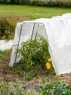 Zenith Garden Hoops, Set Of 4 11 Zenith Garden Hoops, Set Of 4 -Garden Outfitters Store 8613313 0133