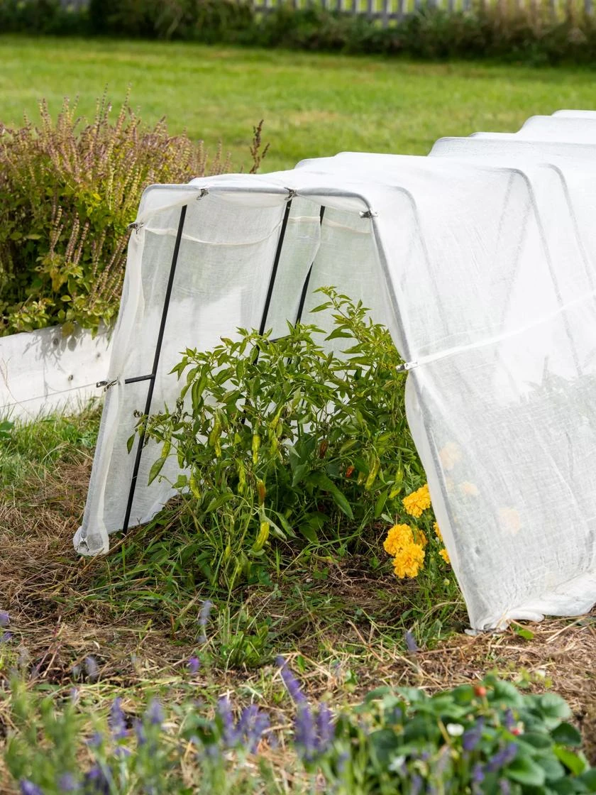 Zenith Garden Hoops, Set Of 4 4 Zenith Garden Hoops, Set Of 4 - Image 4