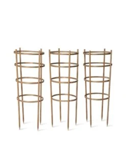 Bamboo Tomato Cages, Set Of 3 15 Bamboo Tomato Cages, Set Of 3 -Garden Outfitters Store 8613426 4679 bamboo tomato cages 3