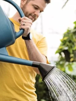 French Blue Watering Can -Garden Outfitters Store ChrisAhrensSquare 0118 tif