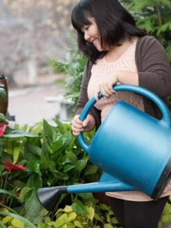 French Blue Watering Can -Garden Outfitters Store EmilyHoangSquare 0151 tif