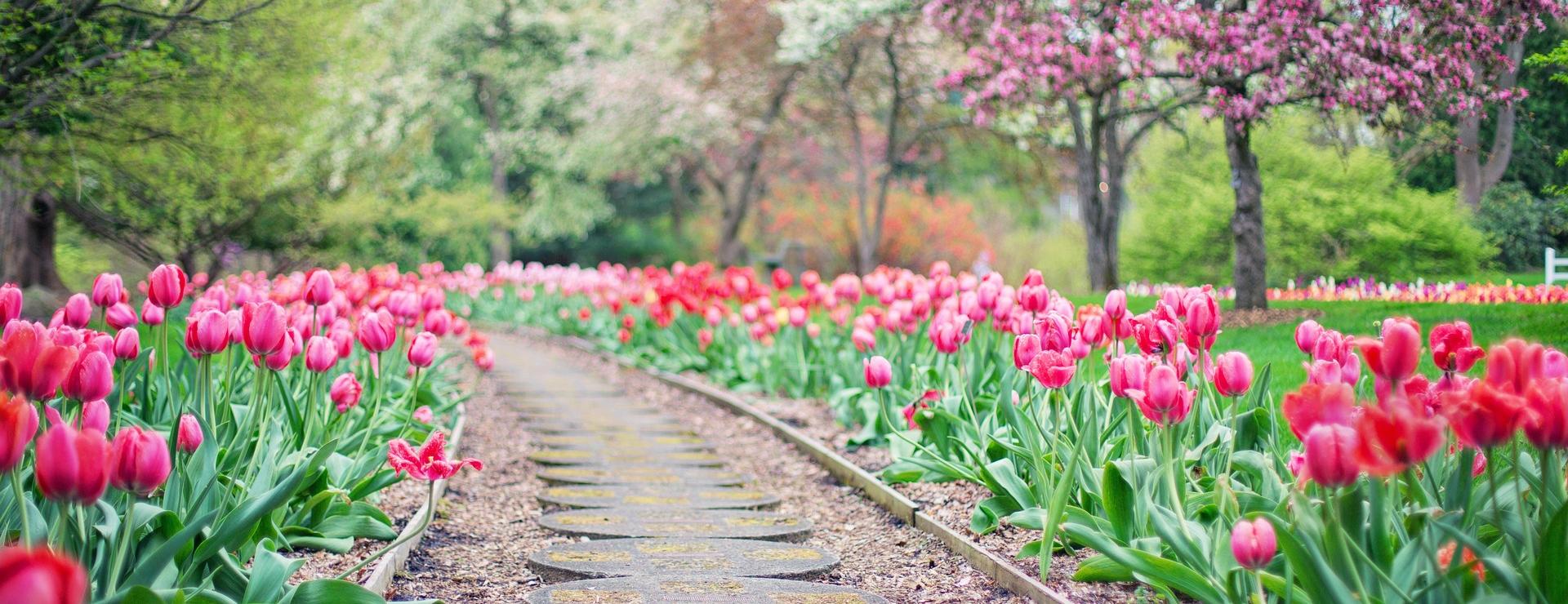 Garden Outfitters Store -Garden Outfitters Store pathway 2289978 1920